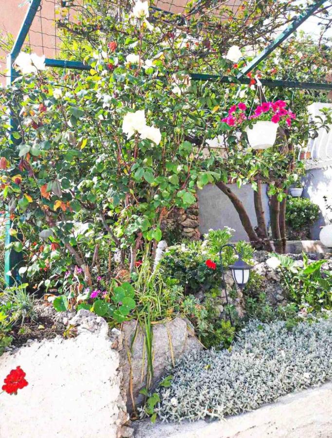 Apartment D&M1 Makarska Esterno foto